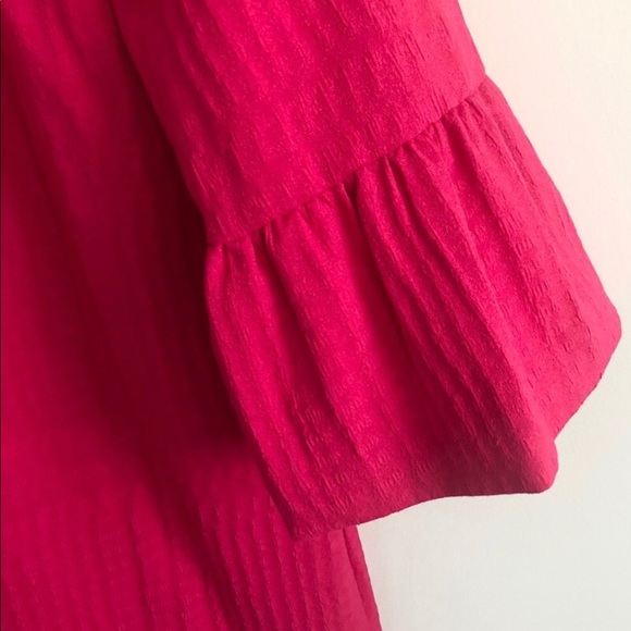 Zara Dress with a Tulip Sleeves - Picture 3 of 4